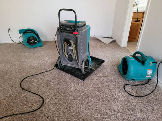 Best Fire Damage Restoration  in Culver City, CA