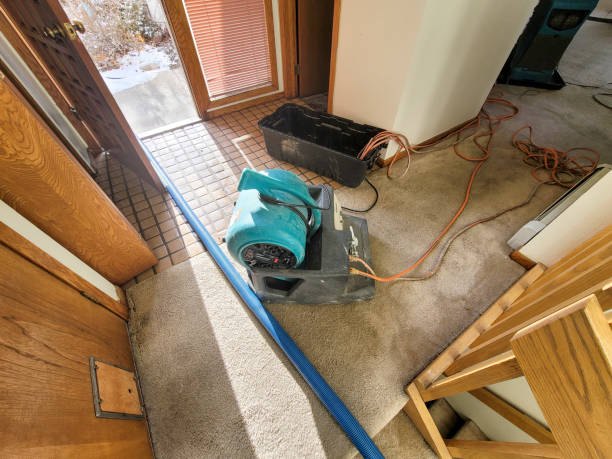 Best Water damage restoration near me  in Culver City, CA