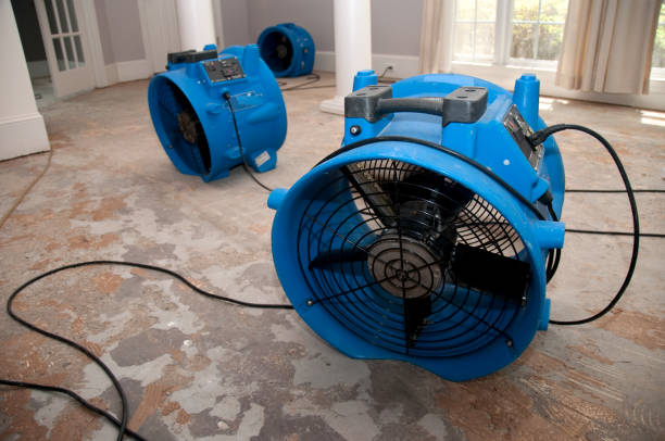 Best Ceiling water damage repair  in Culver City, CA