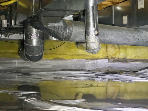 Best Mold removal after water damage  in Culver City, CA