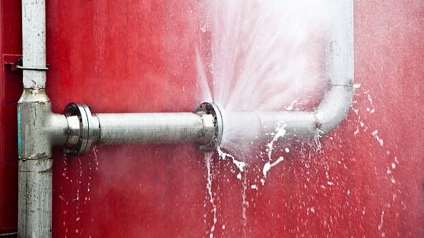 Best Flood damage cleanup  in Culver City, CA